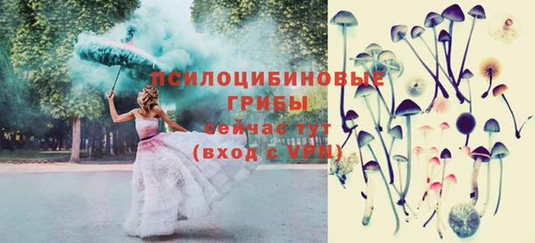 стафф Нефтегорск